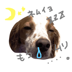 きなめーちゃん