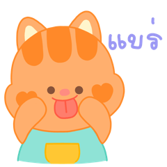 Chayen : The Chubby Cat!