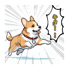 毎日使えるコーギー犬スタンプ