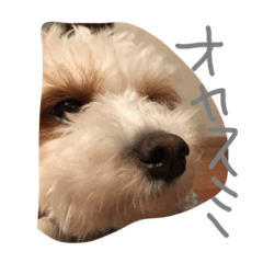 めいちゃんです