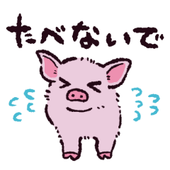 マイクロブタです