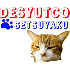 たわしコレクション２