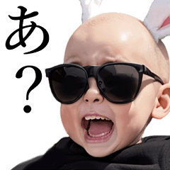 サングラスしたベイビー【煽り3】