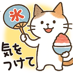 猫ちゃんとスイーツと夏。