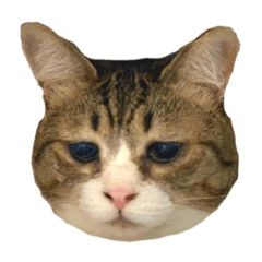 モリヤのモリモリスタンプ