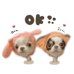 ある.じる.えるちゃんdeformation