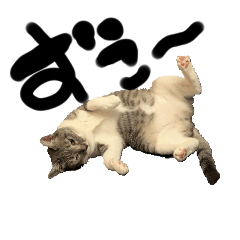 猫 ノコとカイ(日常)