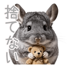 断捨離できないチンチラの言い訳