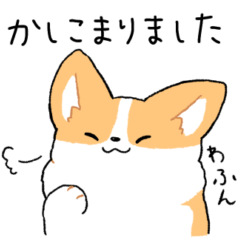 我が家のコーギー[敬語&あいさつ]