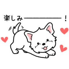 やさしいウエスティ『感情多め』2