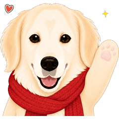 Golden Retriever Cho-chan, Daily Chat