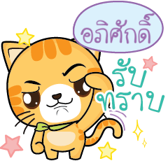 APISAK Sesa Pussycat.