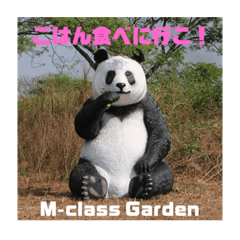 M-class Garden Animal ！