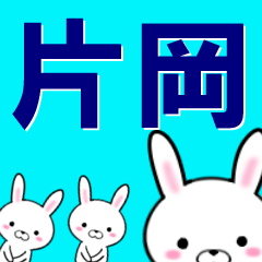 超★片岡(かたおか・カタオカ)なウサギ