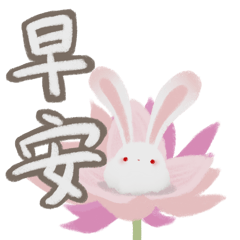 Soft rabbit ball