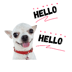 Bobby Lovely Dog v.1