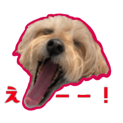 シュナプー・ミルのはっちゃけスタンプ