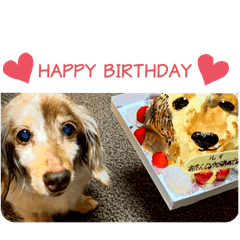 ☆ダックス犬ルイの日常スタンプ☆