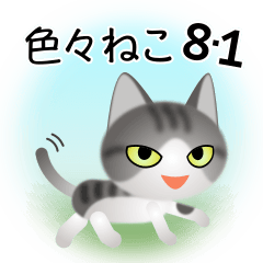色々な猫8-1 短毛-立ち耳-サバトラ白