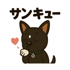 犬のてぃーだ ②