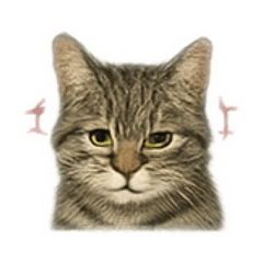 ニャンニャンセリフ集