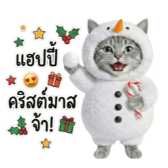 キュートなスノーにゃん