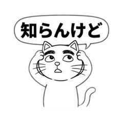 大阪生まれ関西弁のねこ