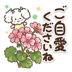 素敵シニア【日常挨拶】19