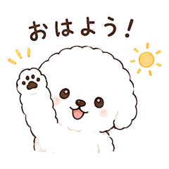 もこもこ真由犬