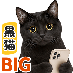 【BIG】毎日やさしく連絡する猫★黒猫.