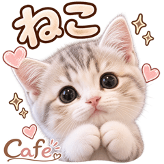とびだす★ねこ♡カフェ♡猫 にゃんこ
