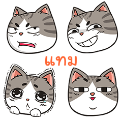 TAM8 trollcat emoji