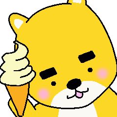 The daily life of a cute dog