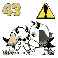 シーズー犬『毒舌』43