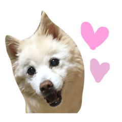 ポポちゃんのスタンプ