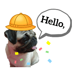 catty_20210720085221