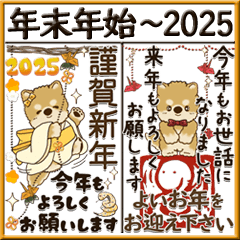 【Big】柴犬『年末年始』2024～2025