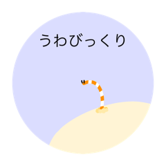 ただのチンアナゴ∈&#39;＾&#39;∋