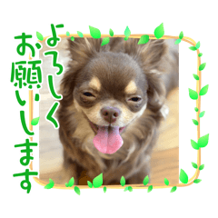 たあくんの日常パート1