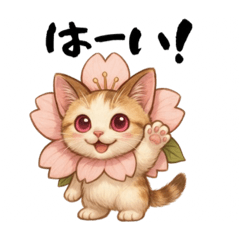 桜にゃん③ふわ夏…………..