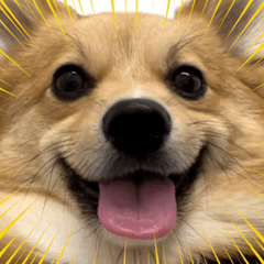 サクサクビスケットの日常スタンプ