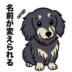 名前入りダックスロングブラッククリーム