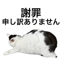 なぎの飼い主スタンプ