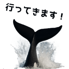 Marine Animals - See You Later