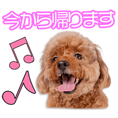 秀島家のみんとちゃん 2