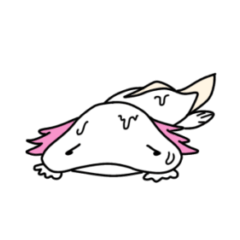 今日も溶けウパ