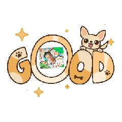 MORIO_20260228090911