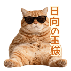 春の癒し♪茶トラ猫のまったり日向ぼっこ