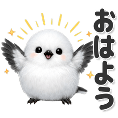 毎日使える！ シマエナガ