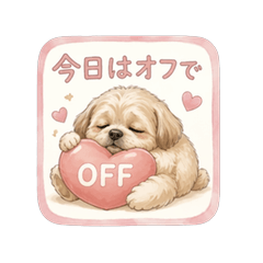 だらけたマルプー